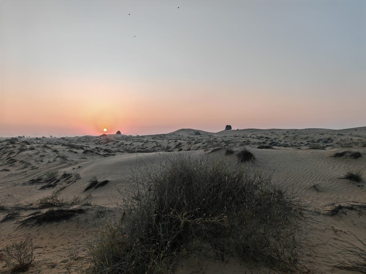 Sonnenaufgang in der Wüste